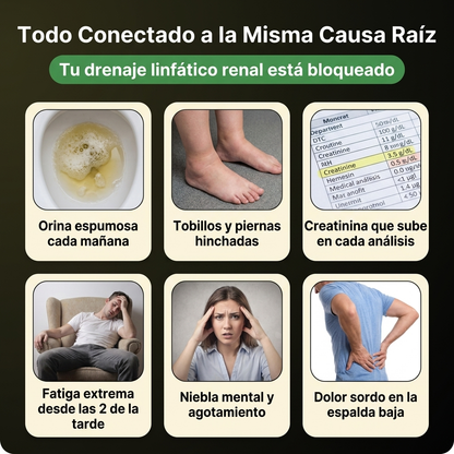 Nueva fórmula de máxima potencia: Cápsulas de drenaje linfático renal de Sculptique™ - Orina Espumosa